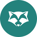 RoomRaccoon